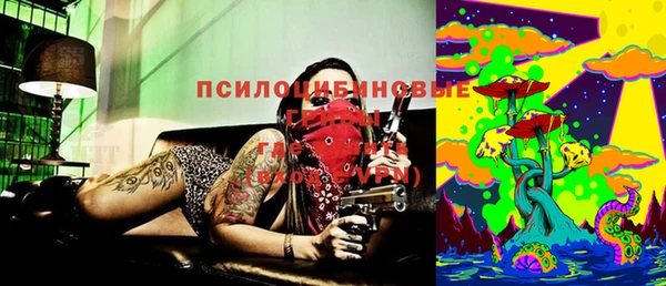 apvp Липки